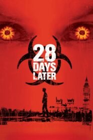 28 Days Later (2002) mmsub